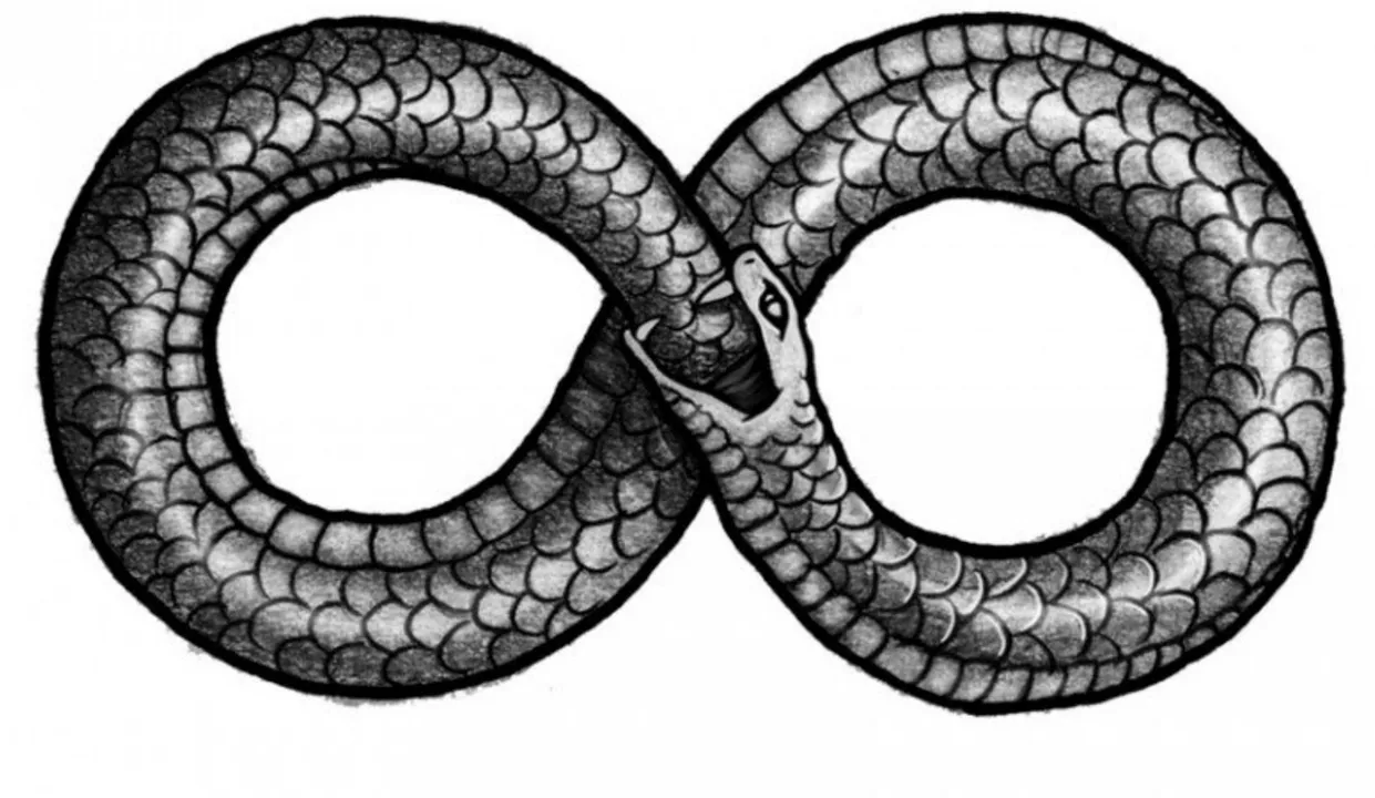 image of an eye